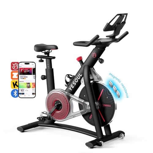 YESOUL S3 Connected Exercise Bike